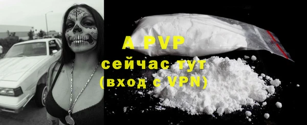 тгк Медногорск