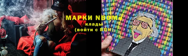 ПСИЛОЦИБИНОВЫЕ ГРИБЫ Ельня