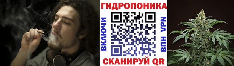 где можно купить наркотик  ОМГ ОМГ онион  МАРИХУАНА тримм  Болгар 